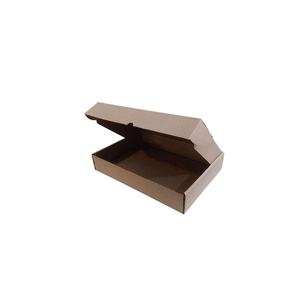 Caixa Expedição Auto-Montável 219x136x052mm Cartão Micro 10un
