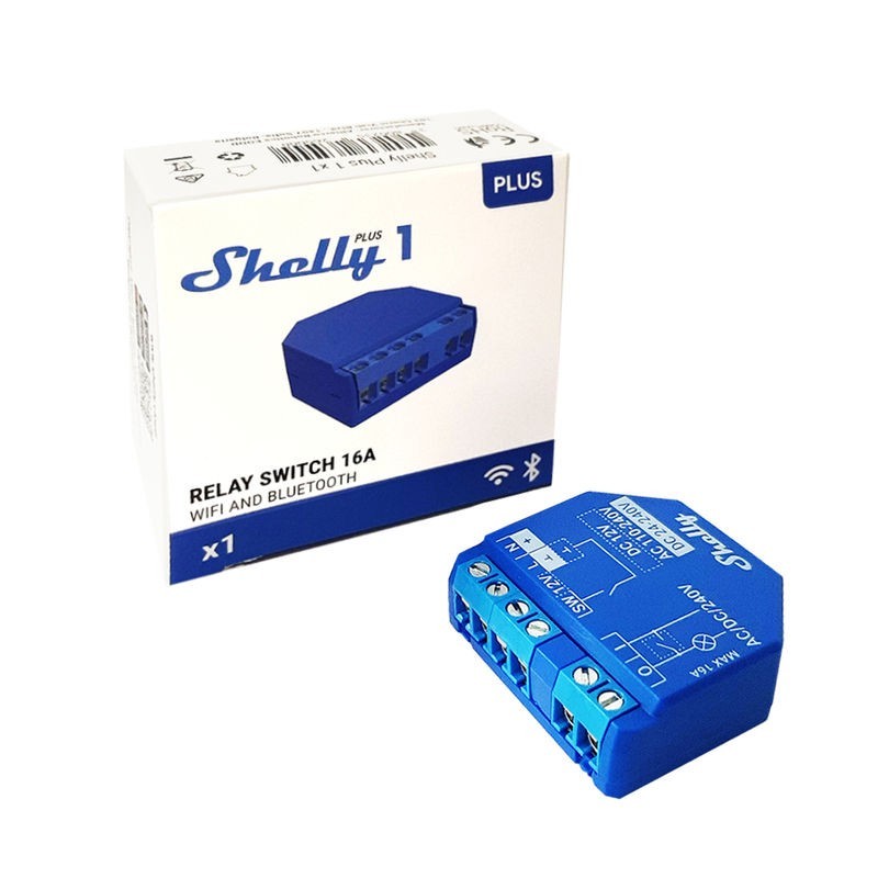 Shelly Plus 1